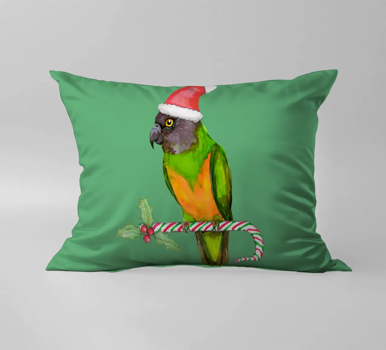 Pappagallo del Senegal in stile natalizio cuscino da BwiseLizzy