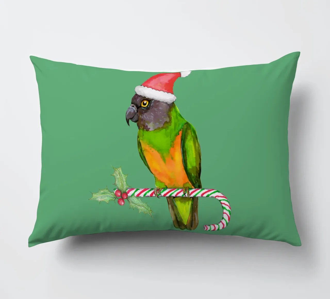 Pappagallo del Senegal in stile natalizio cuscino da BwiseLizzy