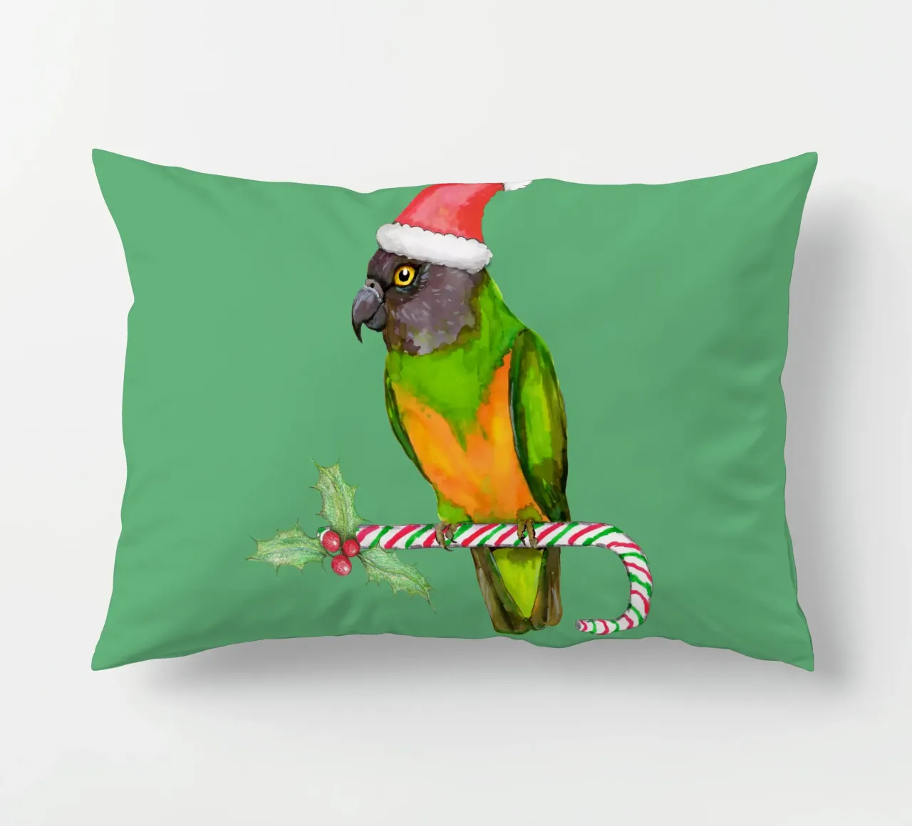 Pappagallo del Senegal in stile natalizio cuscino da BwiseLizzy
