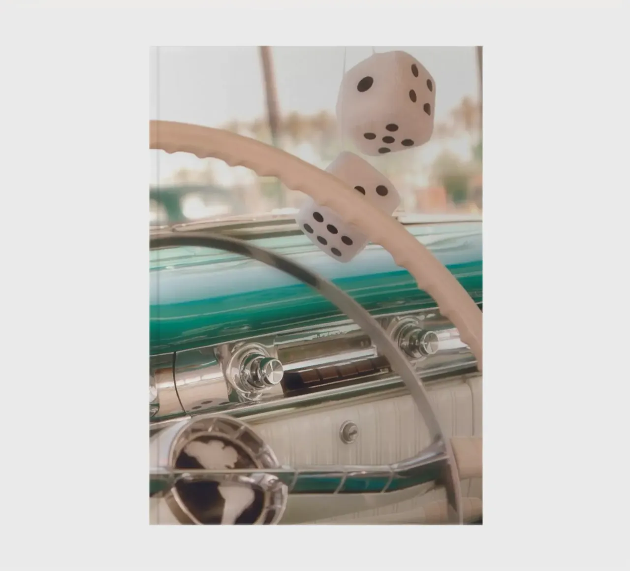 Fluffy Dice notebook by Dave Hare Photography