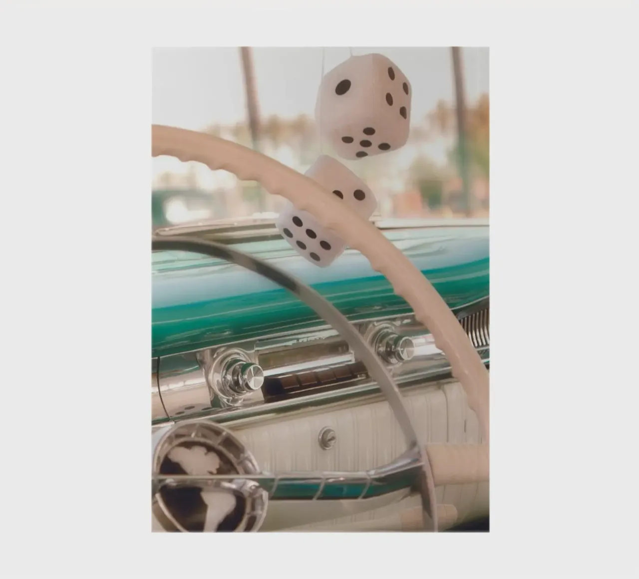 Fluffy Dice notebook by Dave Hare Photography