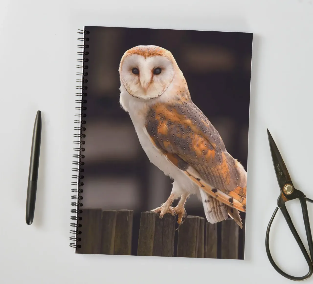 Barn Owl spiral notebook by Dave Hare Photography
