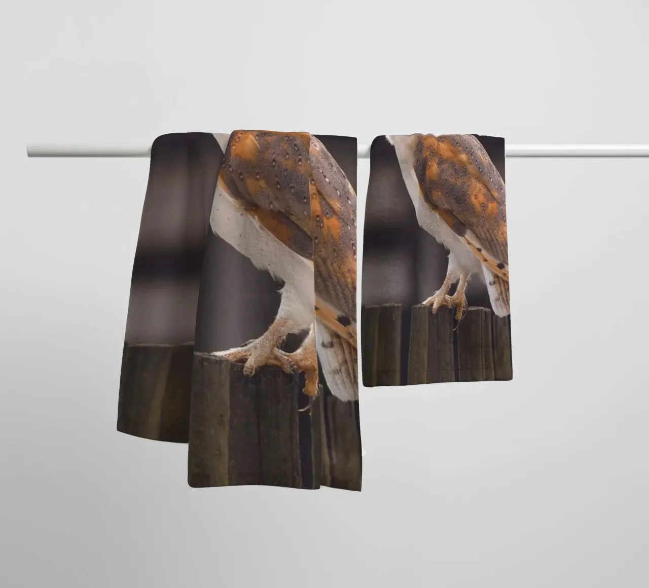 Schleiereule Handtuch von Dave Hare Photography