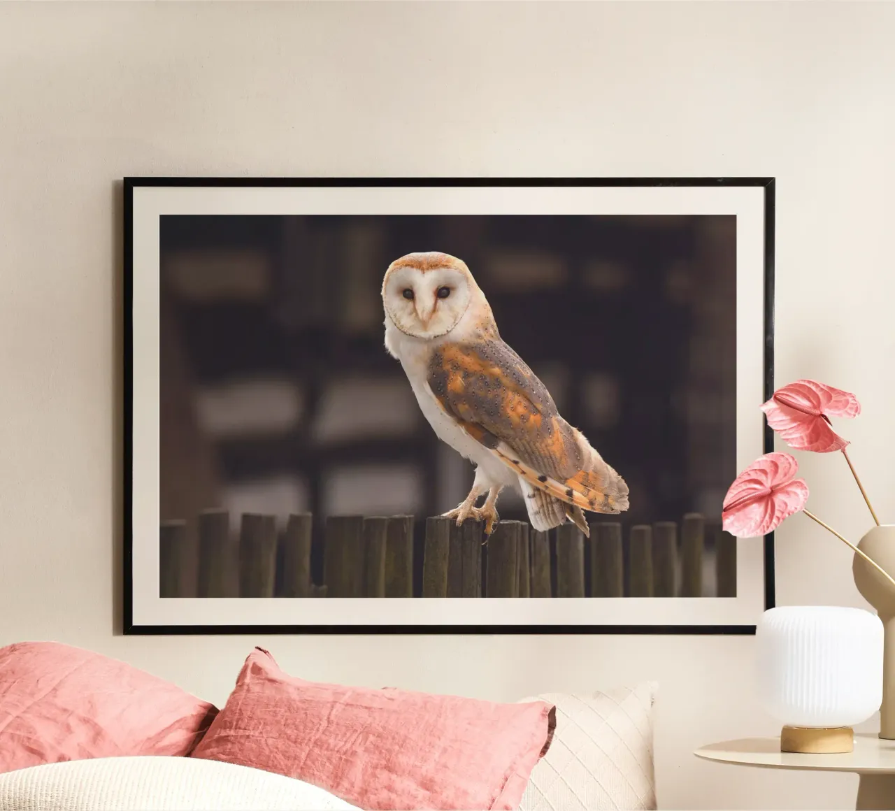 Barn Owl hahnemühle by Dave Hare Photography