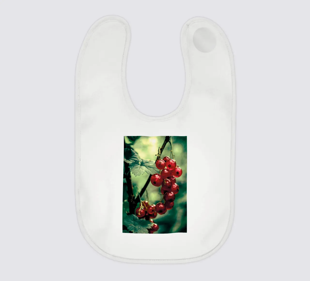 Ribes bavaglino da Neige Nature Capture