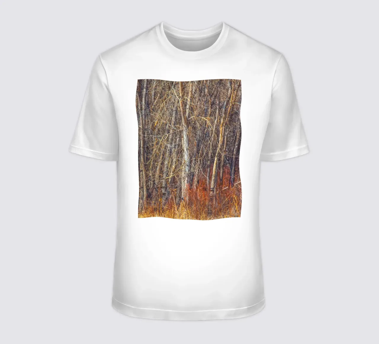 Alberi di Denver t-shirt da Dave Hare Photography
