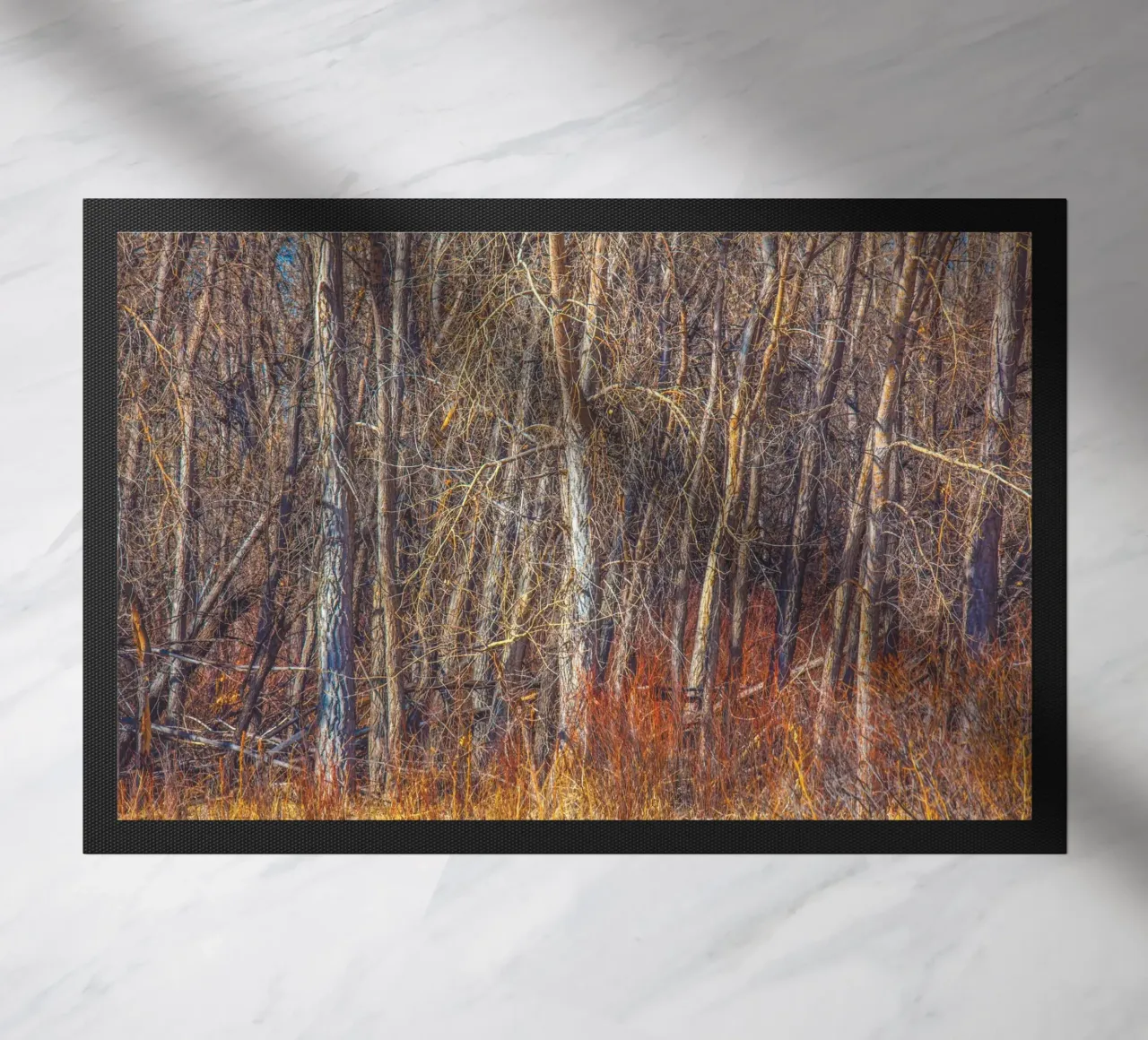 Denver Trees doormat by Dave Hare Photography