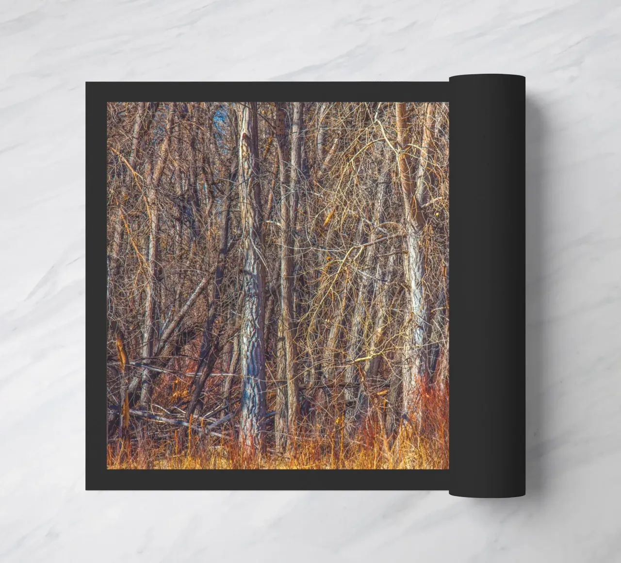 Denver Trees doormat by Dave Hare Photography