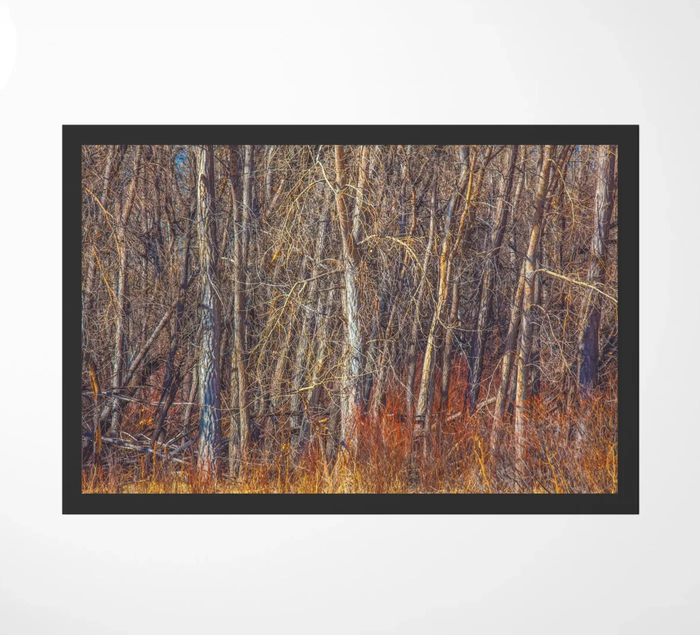 Denver Bomen deurmat van Dave Hare Photography