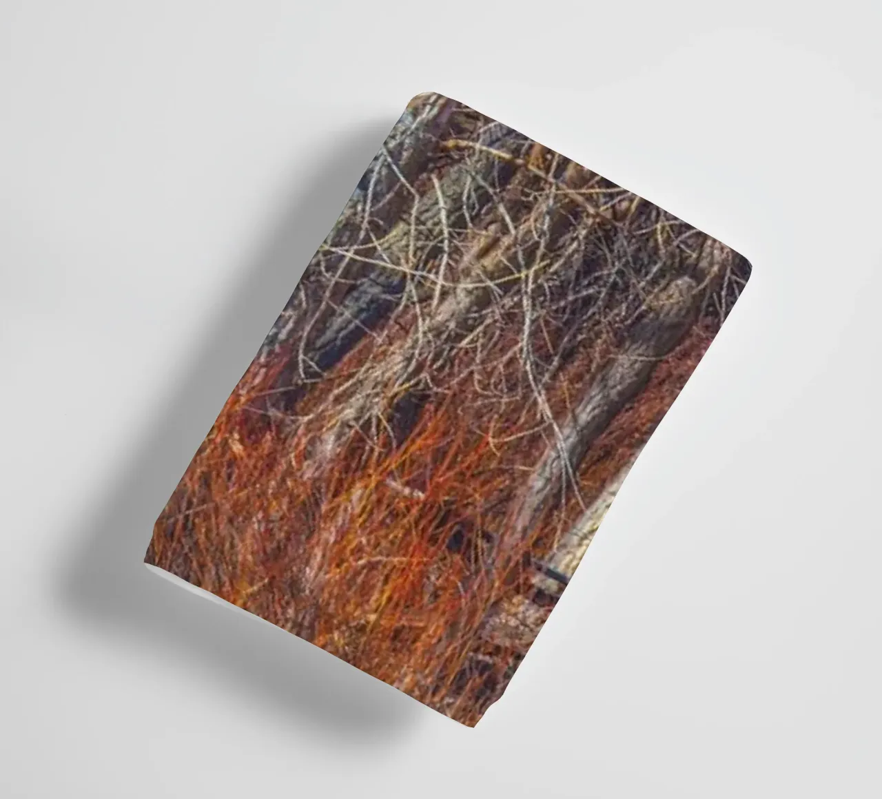 Alberi di Denver asciugamano da bagno da Dave Hare Photography