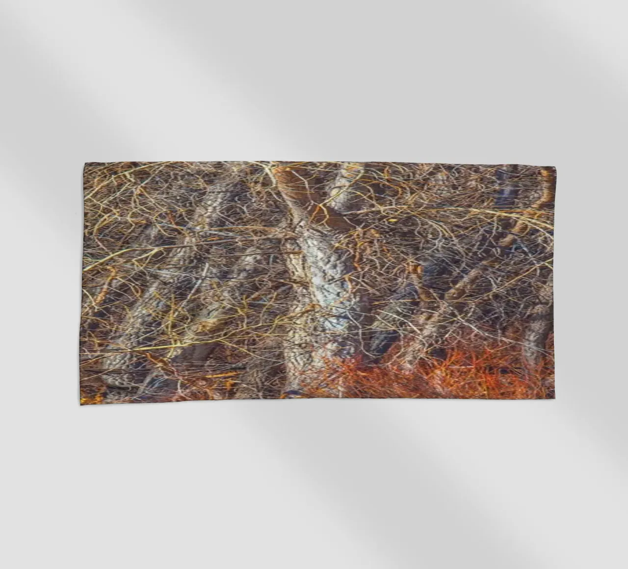 Alberi di Denver telo mare da Dave Hare Photography