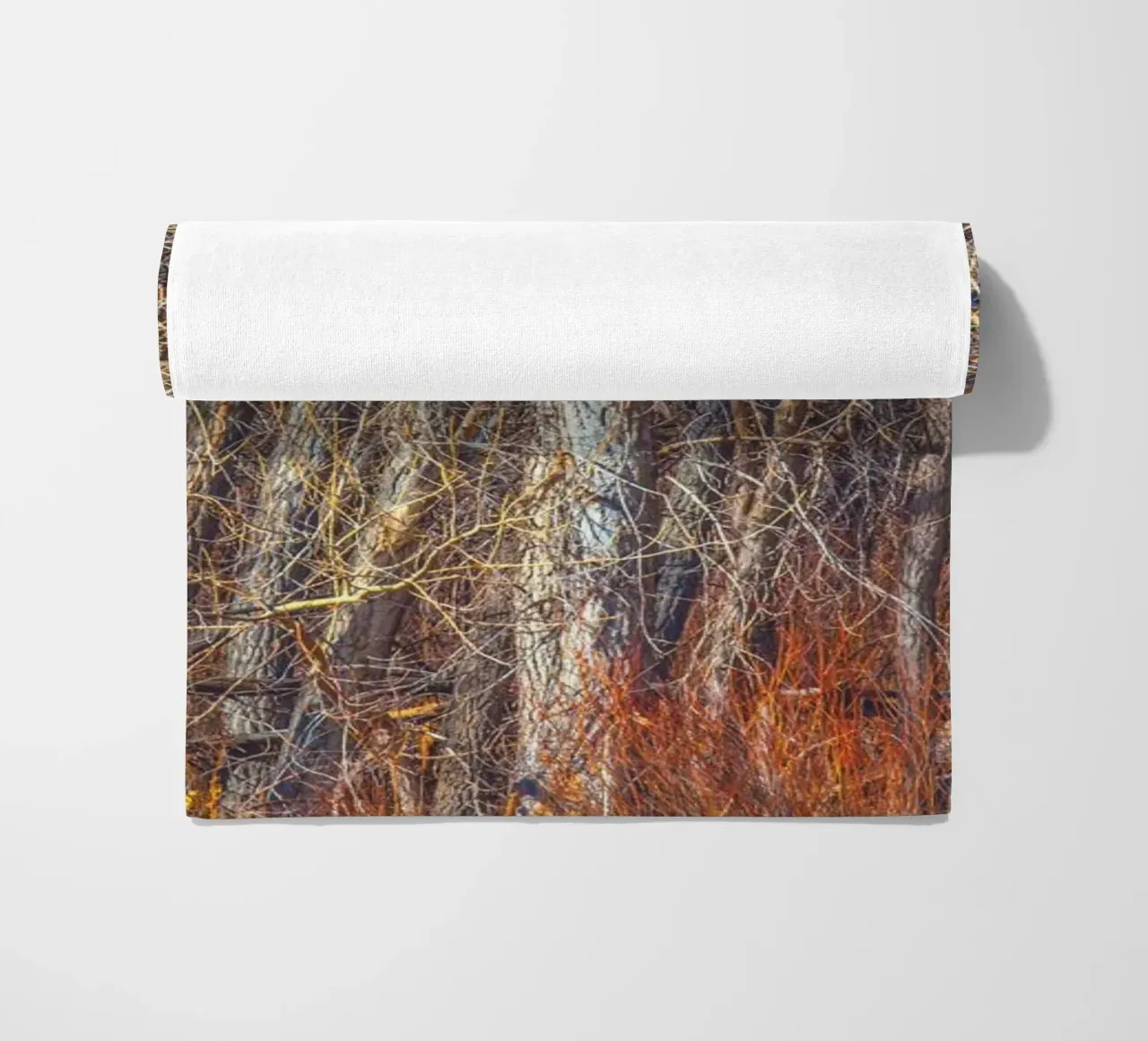 Alberi di Denver telo mare da Dave Hare Photography