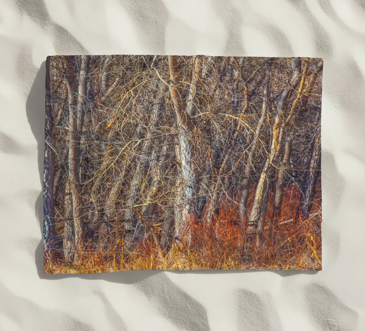 Alberi di Denver telo mare da Dave Hare Photography