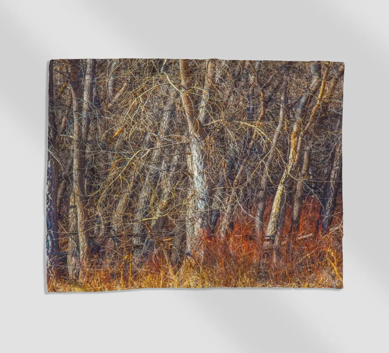 Alberi di Denver telo mare da Dave Hare Photography