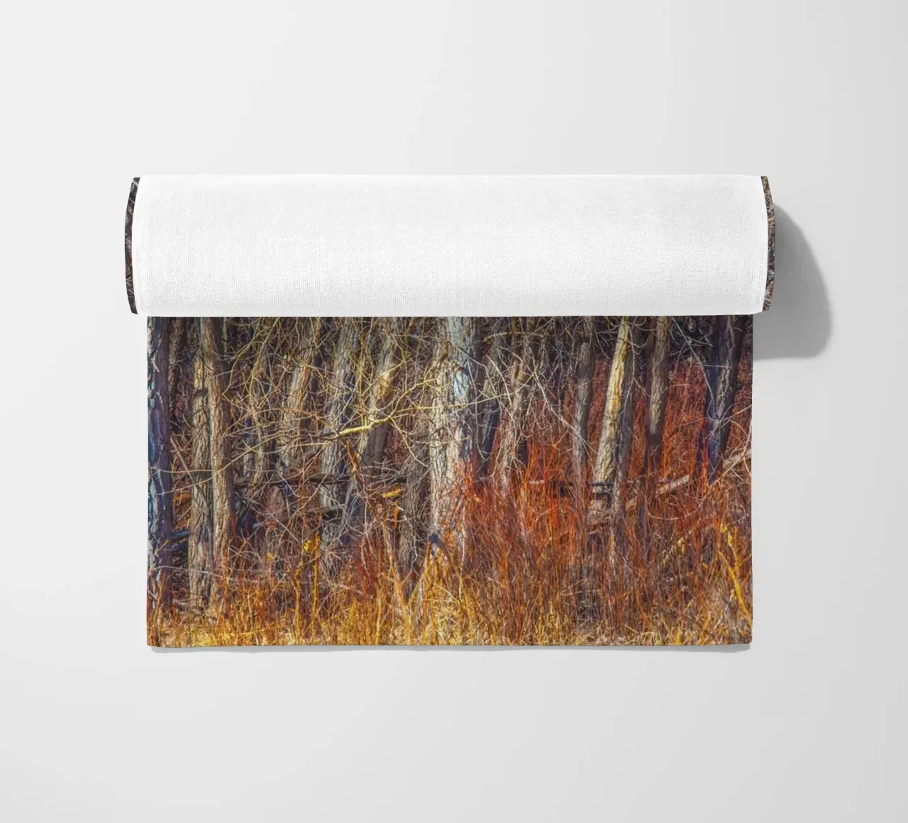 Alberi di Denver telo mare da Dave Hare Photography