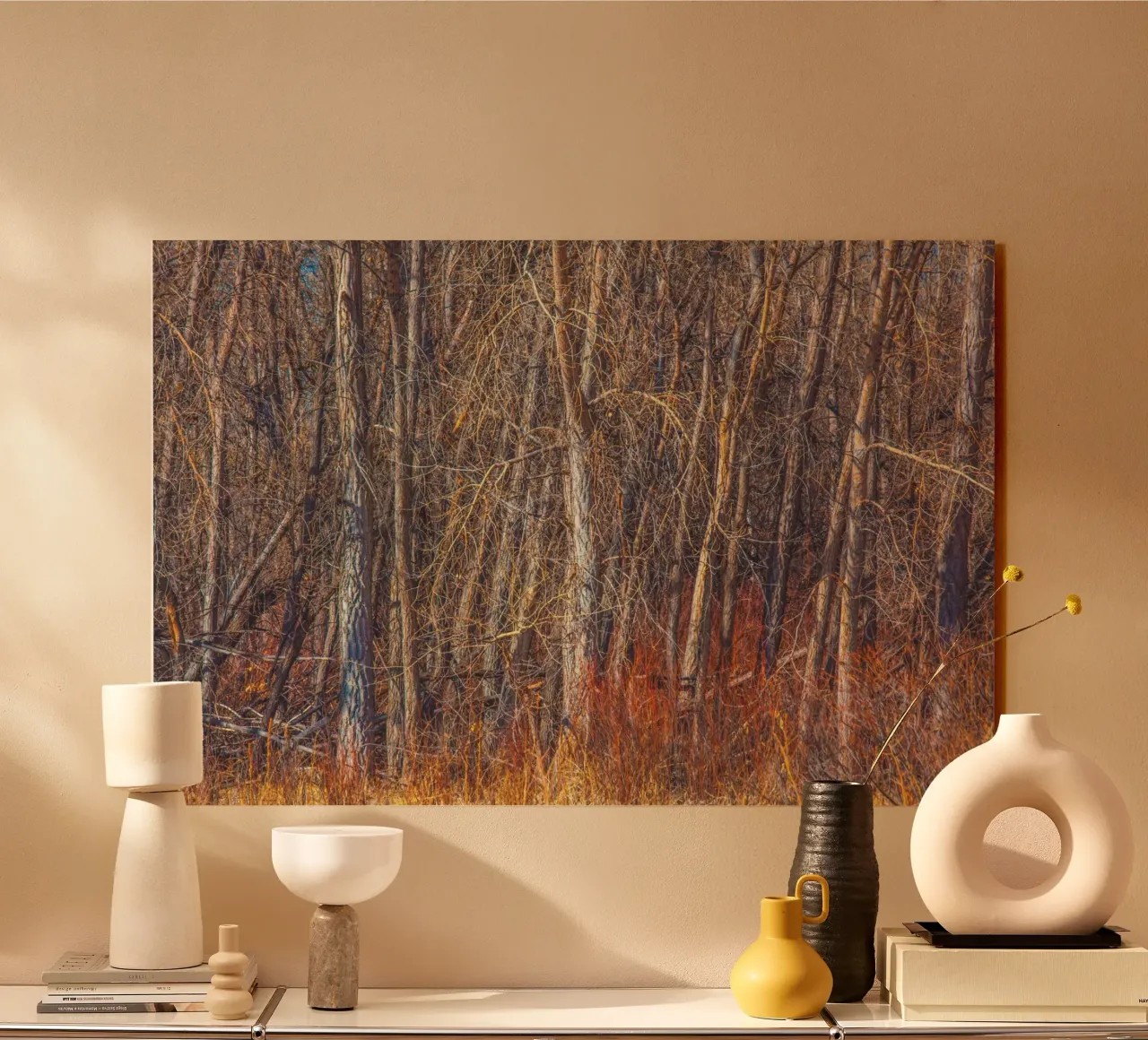 Denver Trees Acryl-Glas von Dave Hare Photography