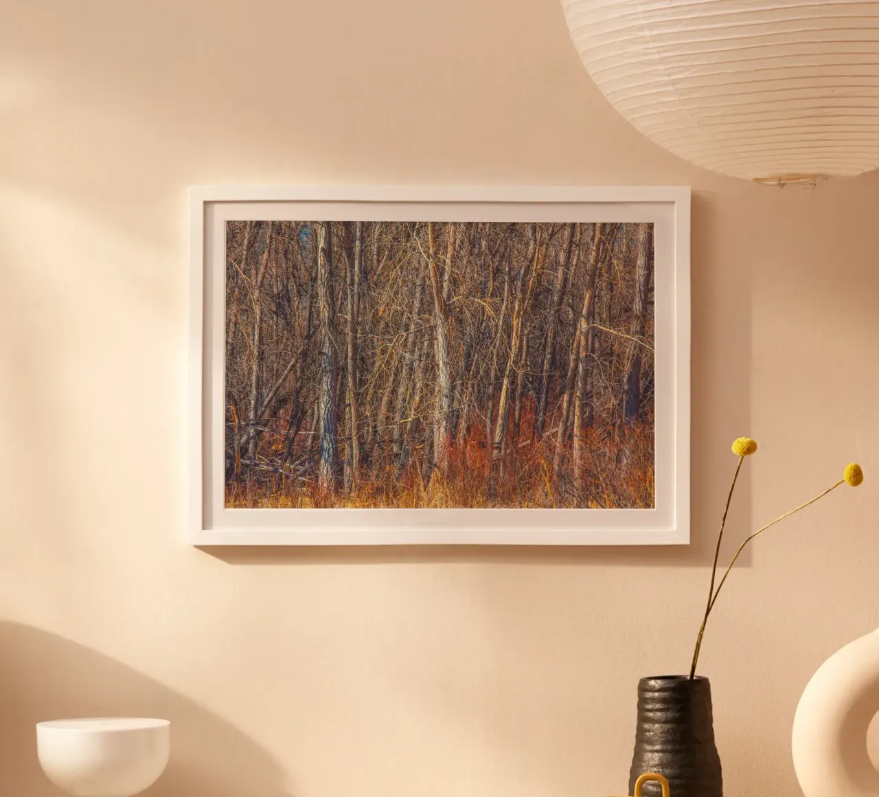 Denver Trees poster by Dave Hare Photography