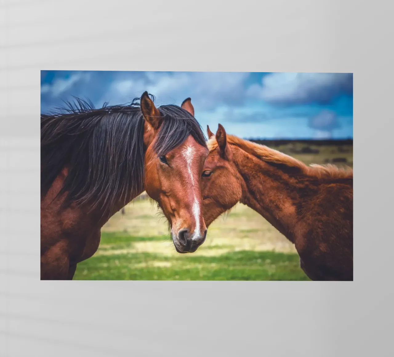 Madre e figlio pellicola backlit da Dave Hare Photography