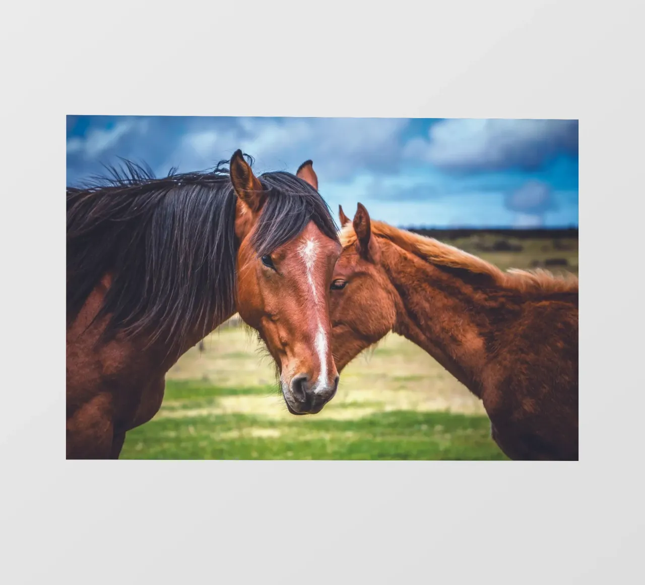 Madre e figlio pellicola backlit da Dave Hare Photography