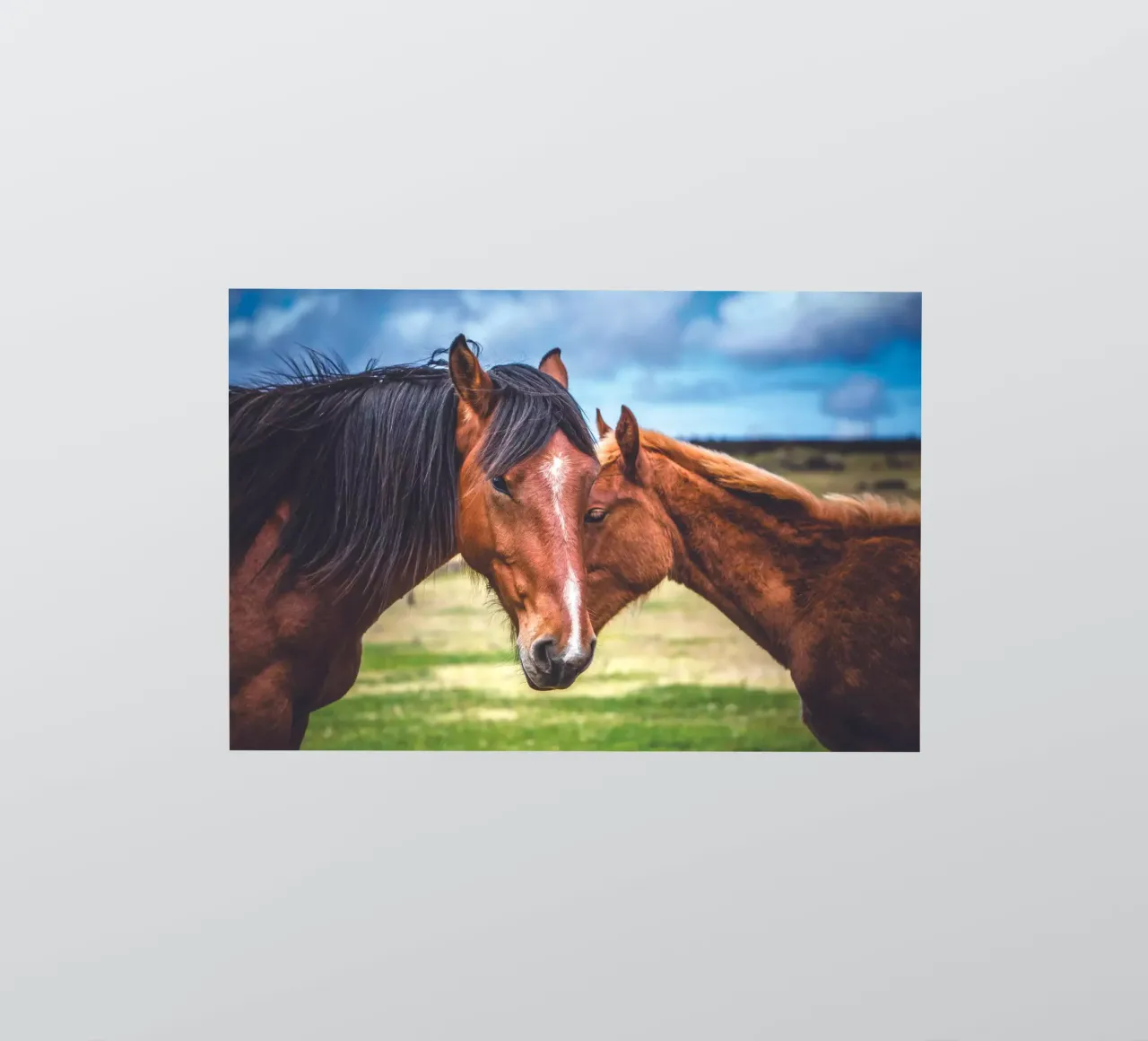 Mother and Son sticker by Dave Hare Photography