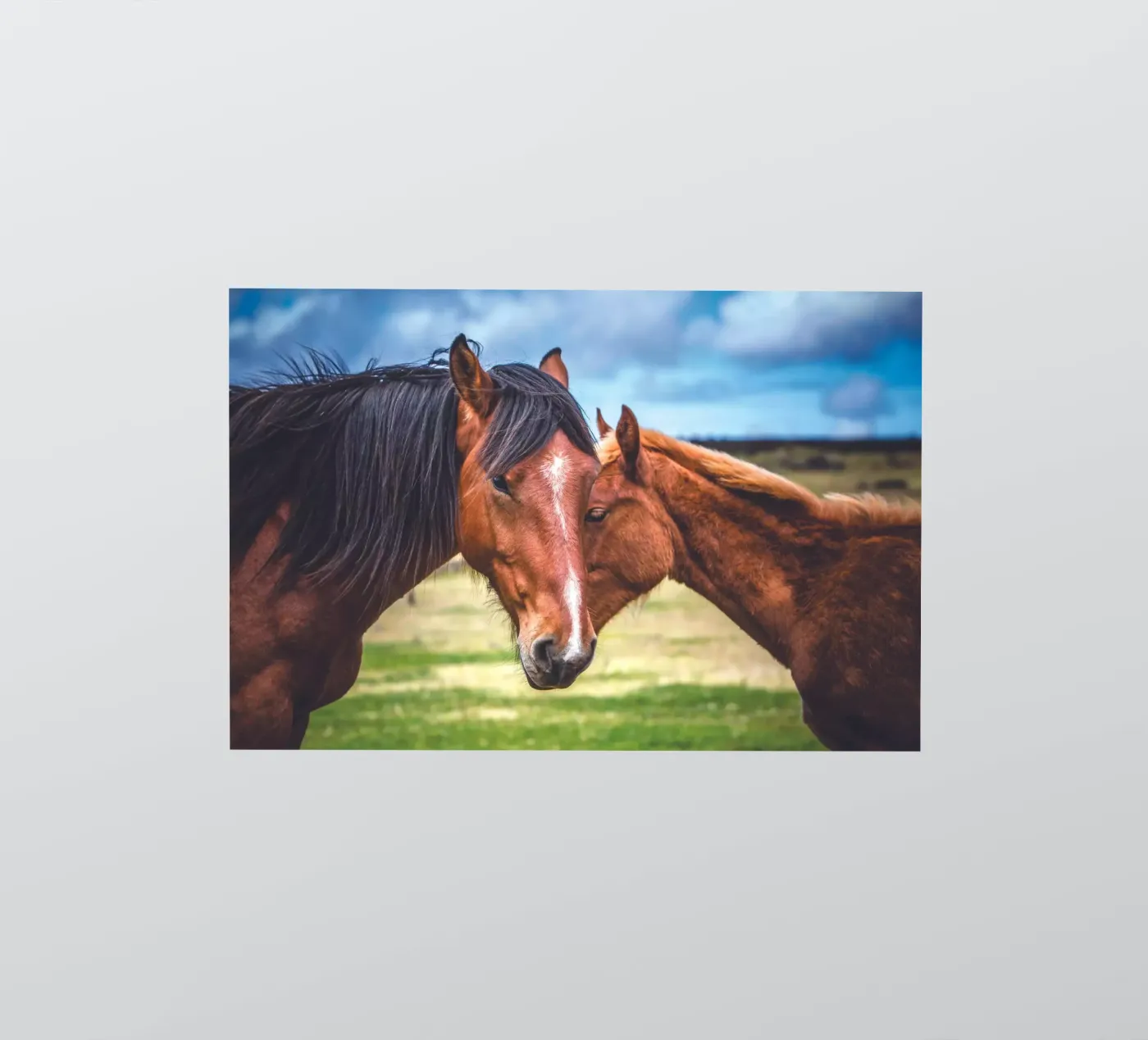 Madre e figlio adesivo da Dave Hare Photography