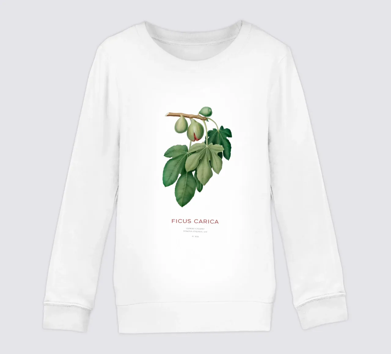 Ficus Carica o Fico felpa bambino da Vintagrafica
