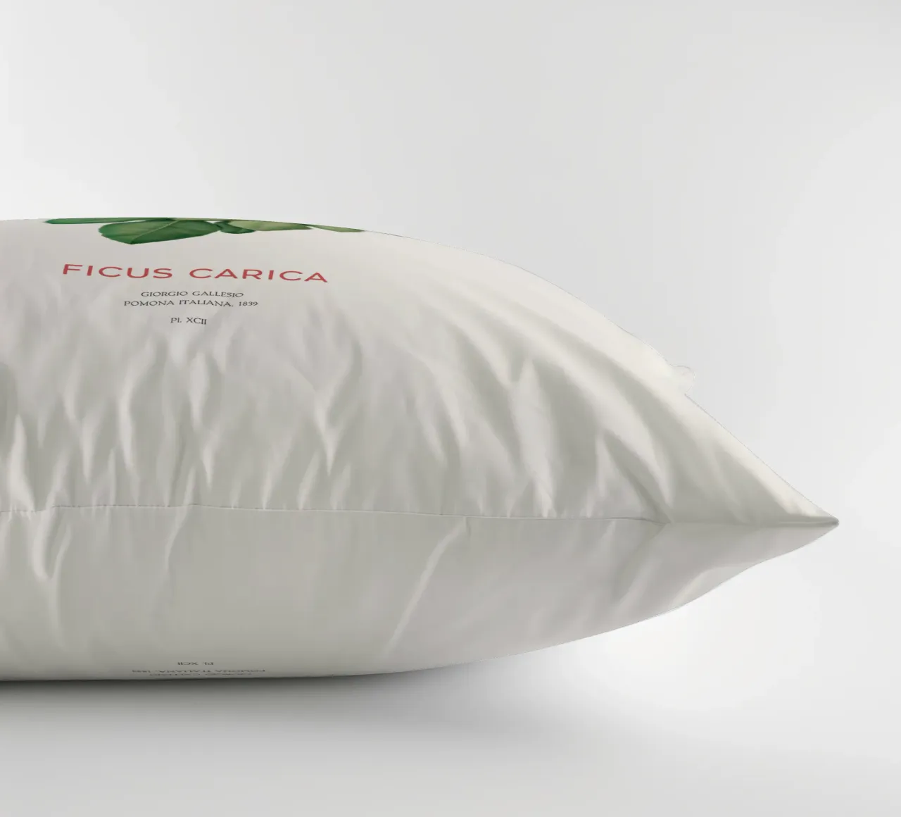 Ficus Carica o Fico cuscino da Vintagrafica