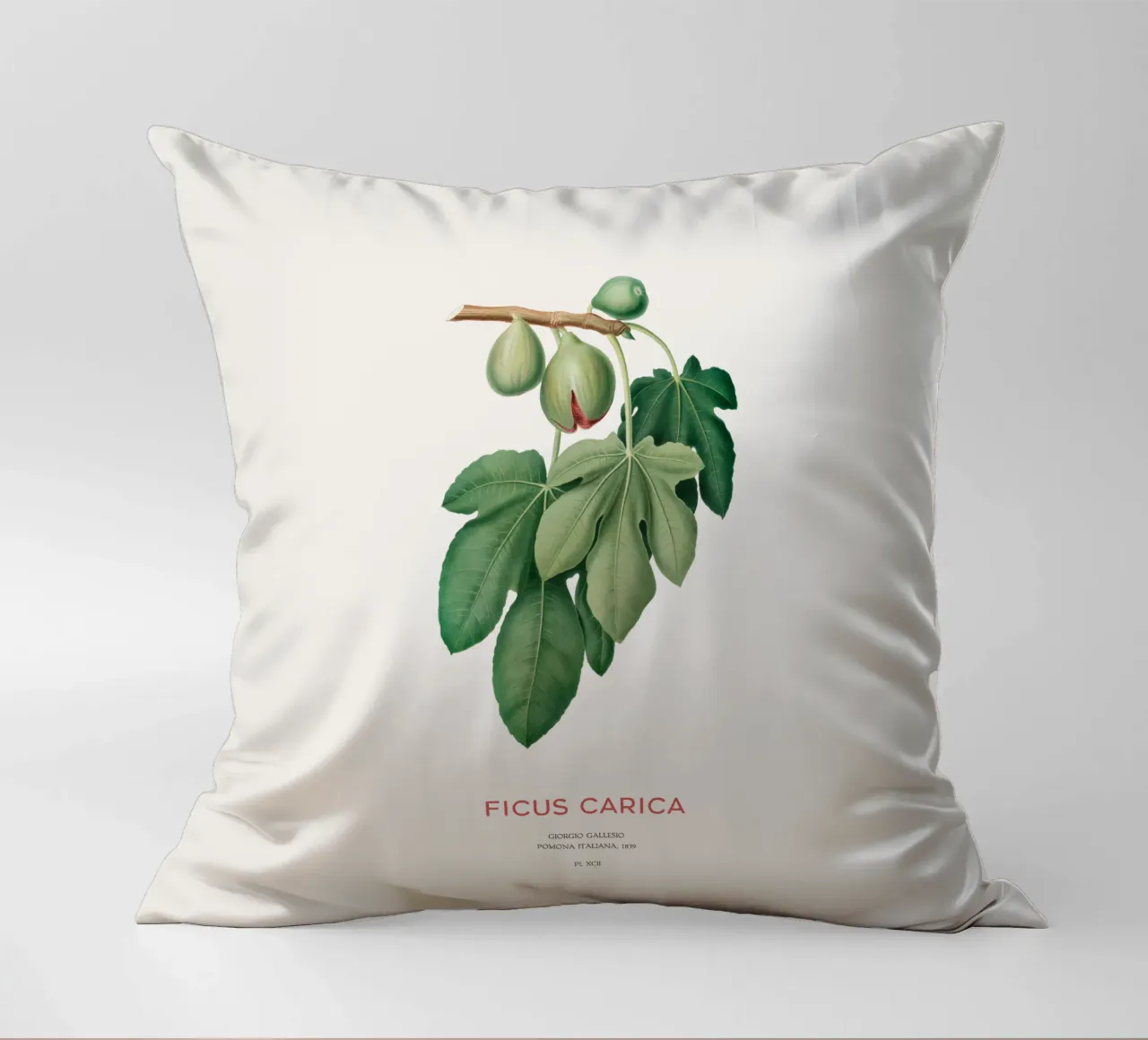 Ficus Carica o Fico cuscino da Vintagrafica