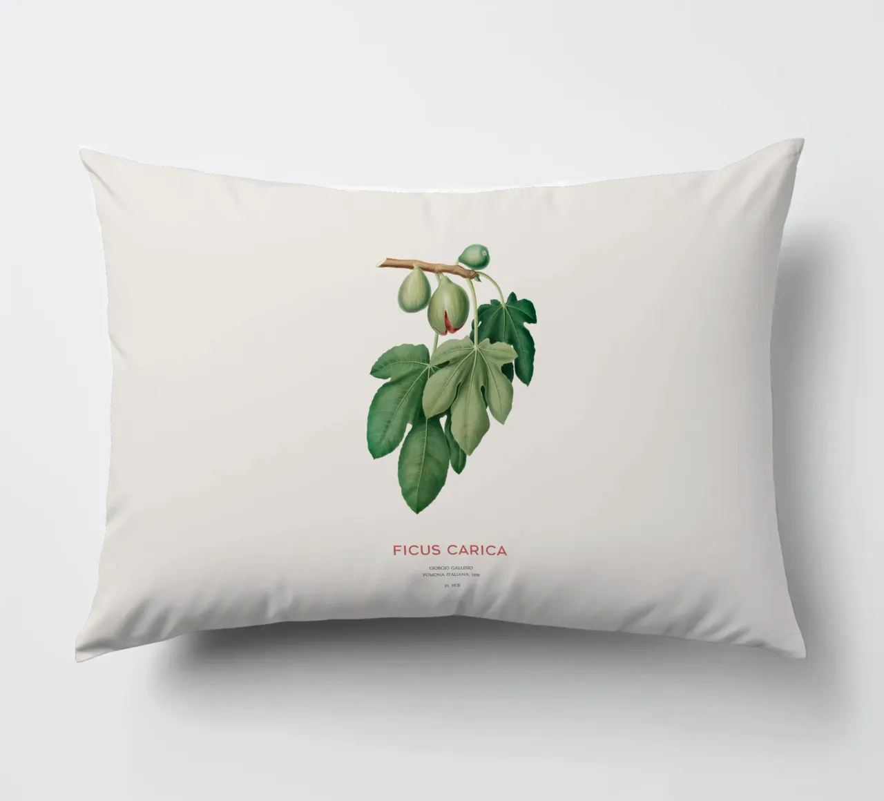 Ficus Carica o Fico cuscino da Vintagrafica