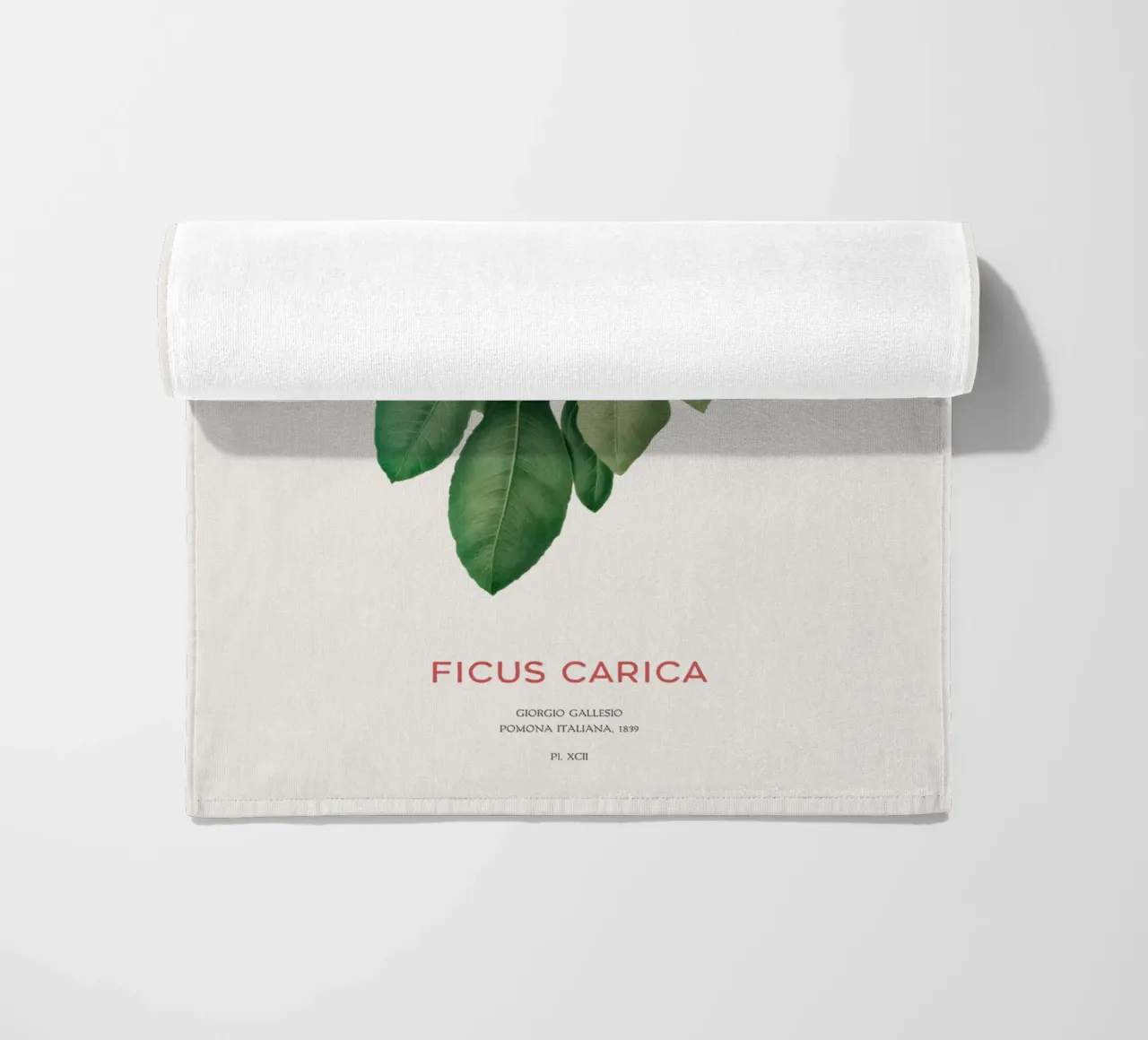 Ficus Carica o Fico telo mare da Vintagrafica