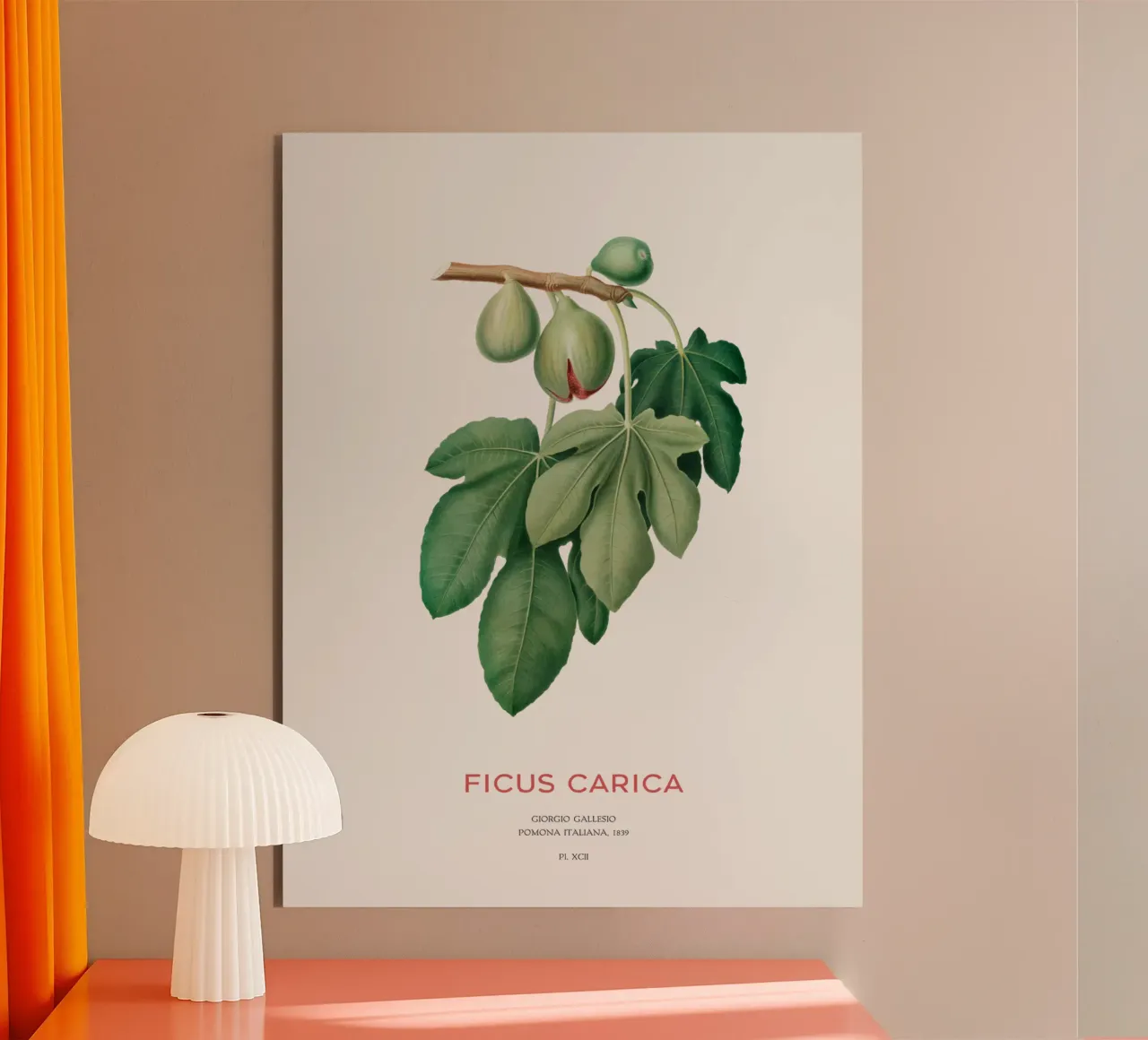 Ficus Carica o Fico alluminio dibond da Vintagrafica