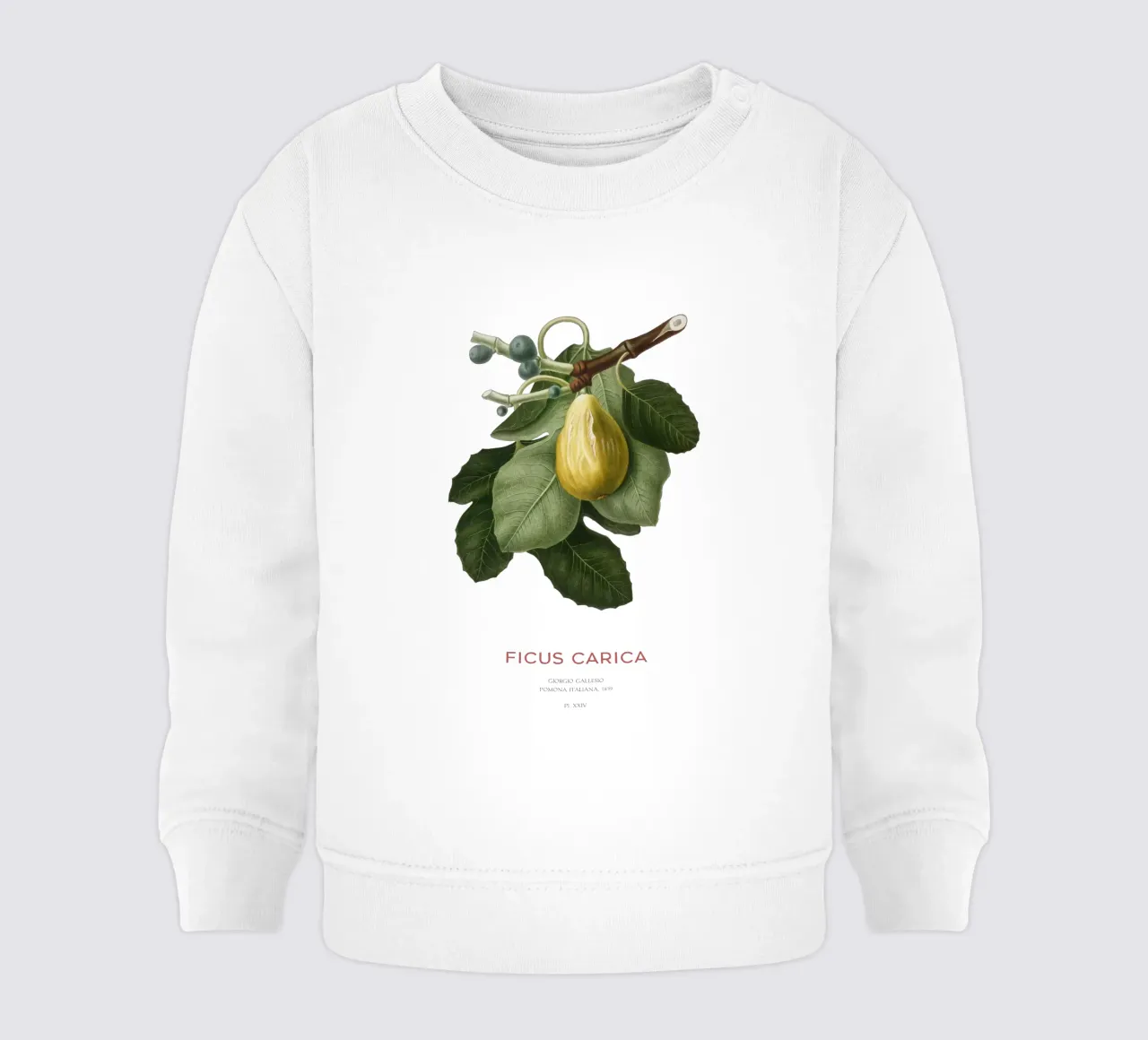 Fico o Ficus Carica felpa neonato da Vintagrafica