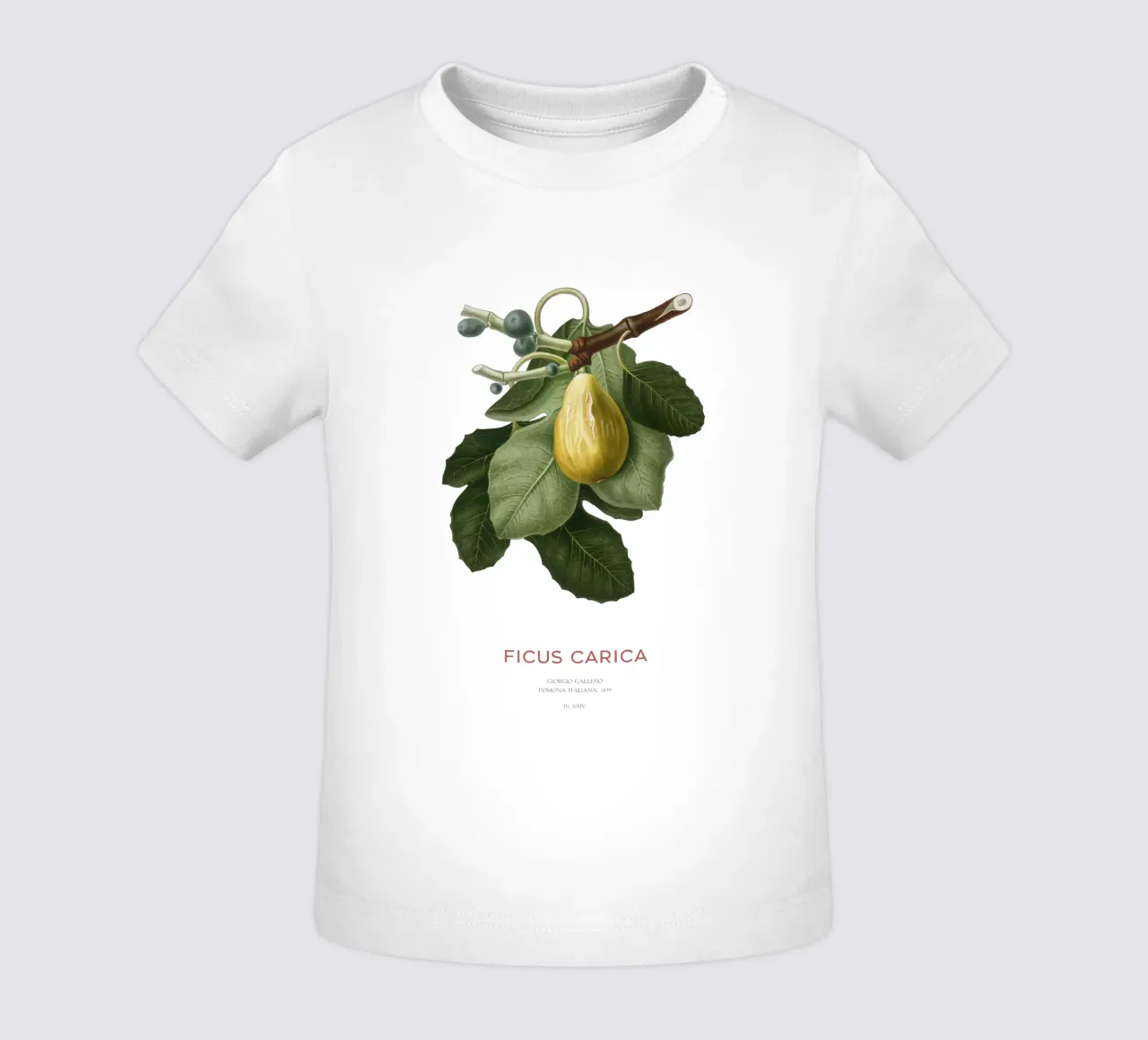 Fig or Ficus Carica baby t-shirt by Vintagrafica
