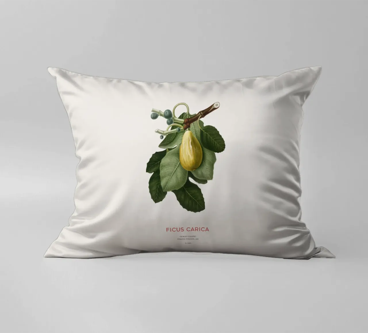 Fico o Ficus Carica cuscino da Vintagrafica