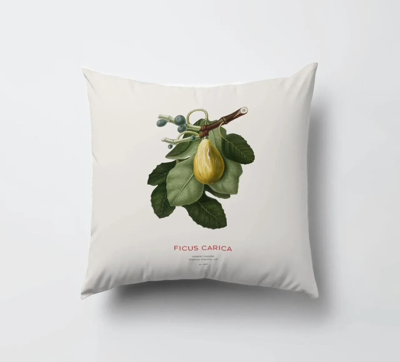 Fico o Ficus Carica cuscino da Vintagrafica