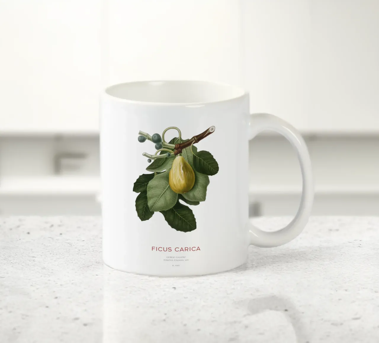 Fico o Ficus Carica tazza in ceramica da Vintagrafica