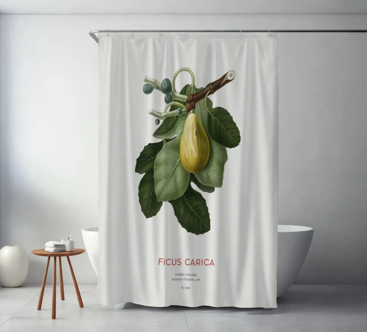 Feige oder Ficus Carica Duschvorhang von Vintagrafica