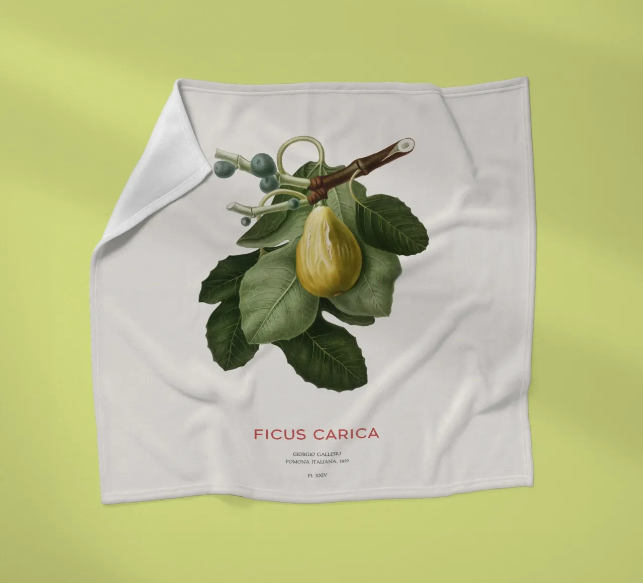 Feige oder Ficus Carica Fleecedecke von Vintagrafica