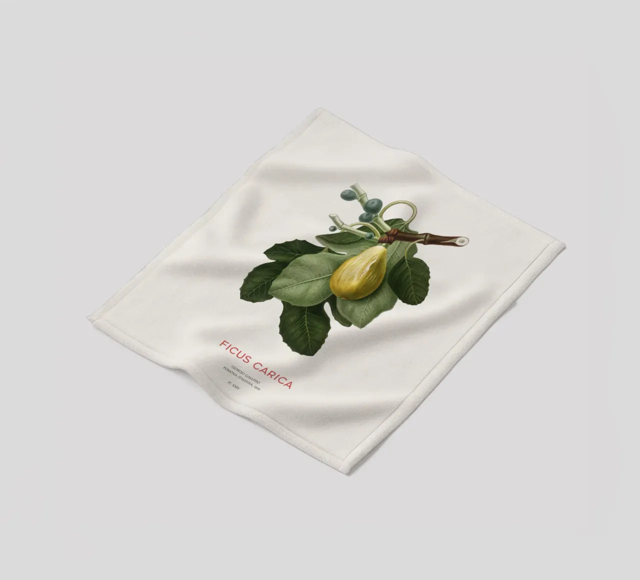 Feige oder Ficus Carica Fleecedecke von Vintagrafica