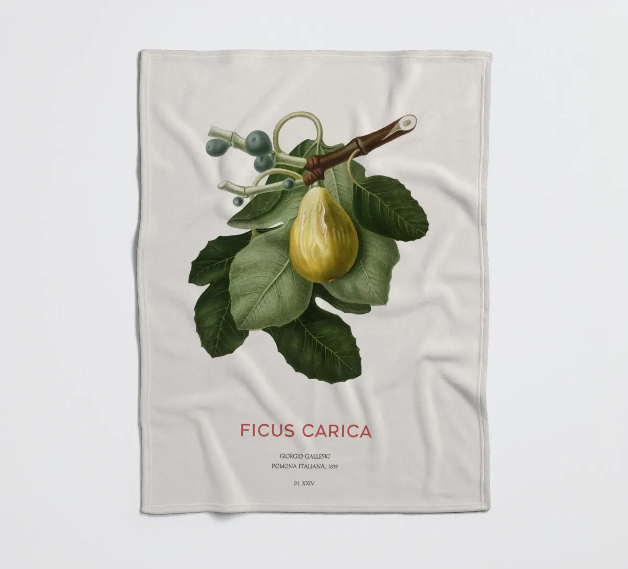 Feige oder Ficus Carica Fleecedecke von Vintagrafica
