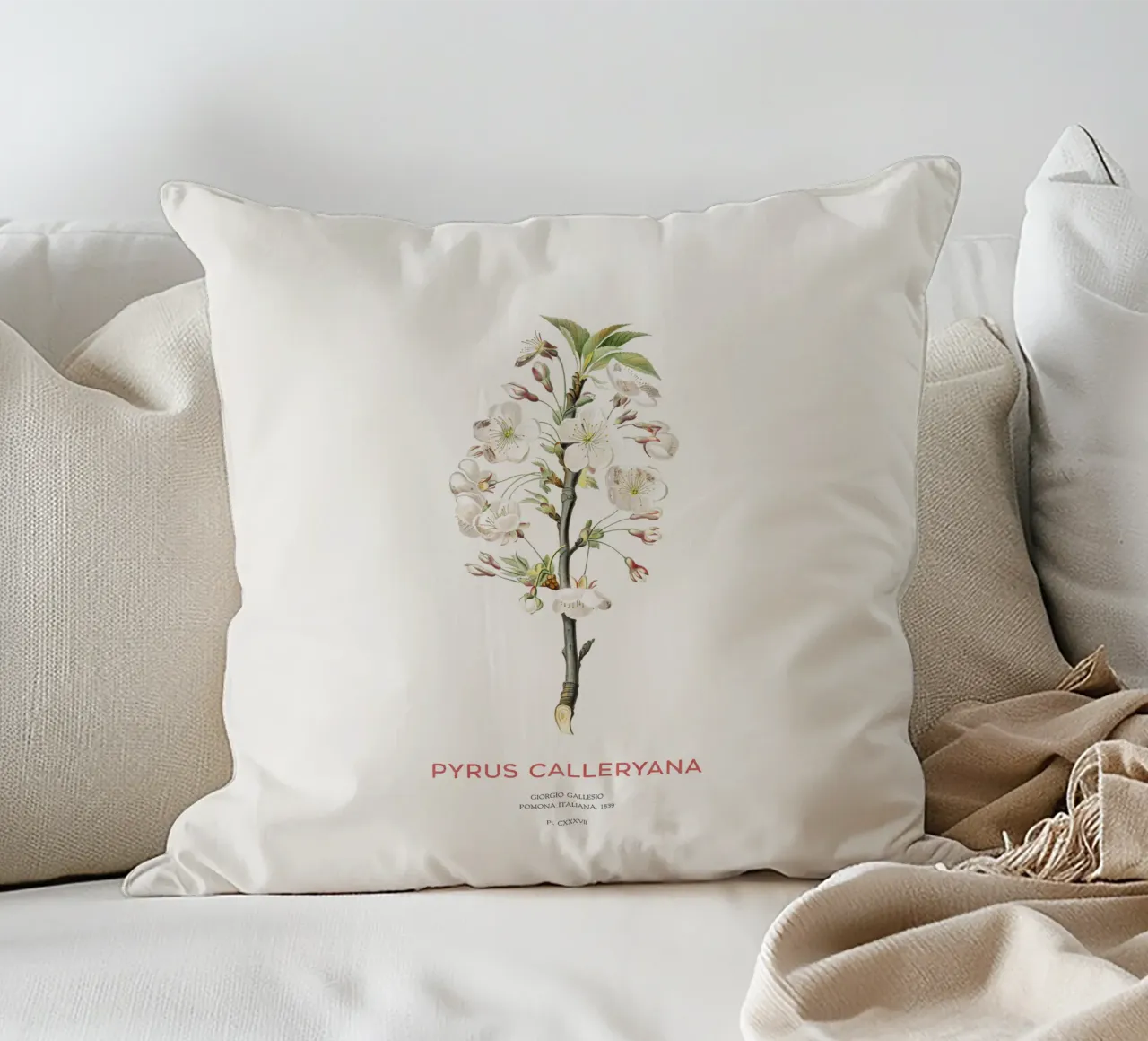 Callery pear or Pyrus calleryana decorative cushion by Vintagrafica