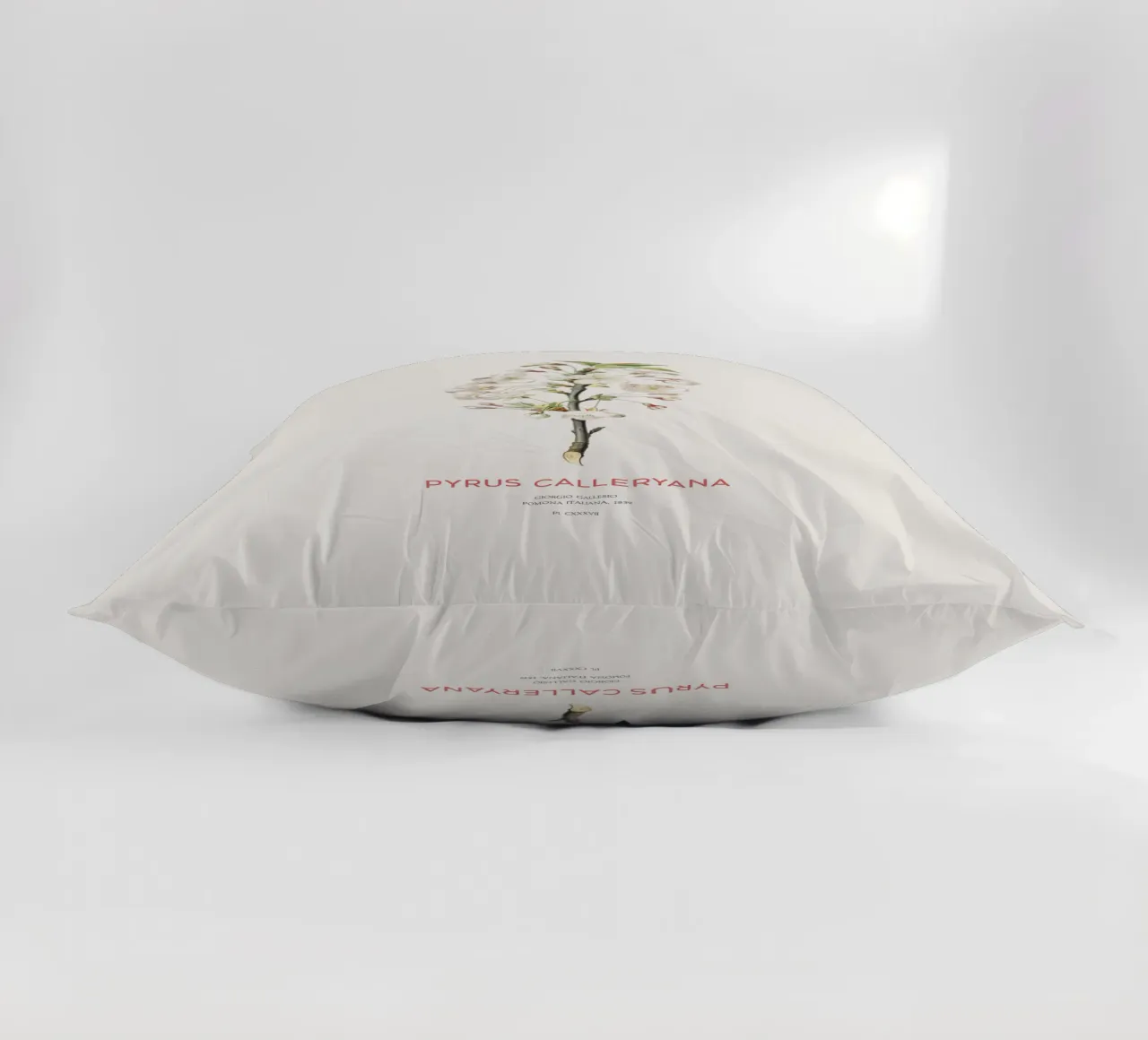Callery pear or Pyrus calleryana decorative cushion by Vintagrafica