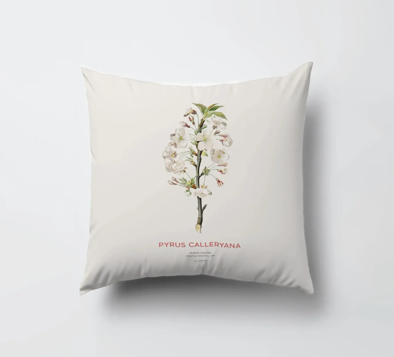 Callery pear or Pyrus calleryana decorative cushion by Vintagrafica