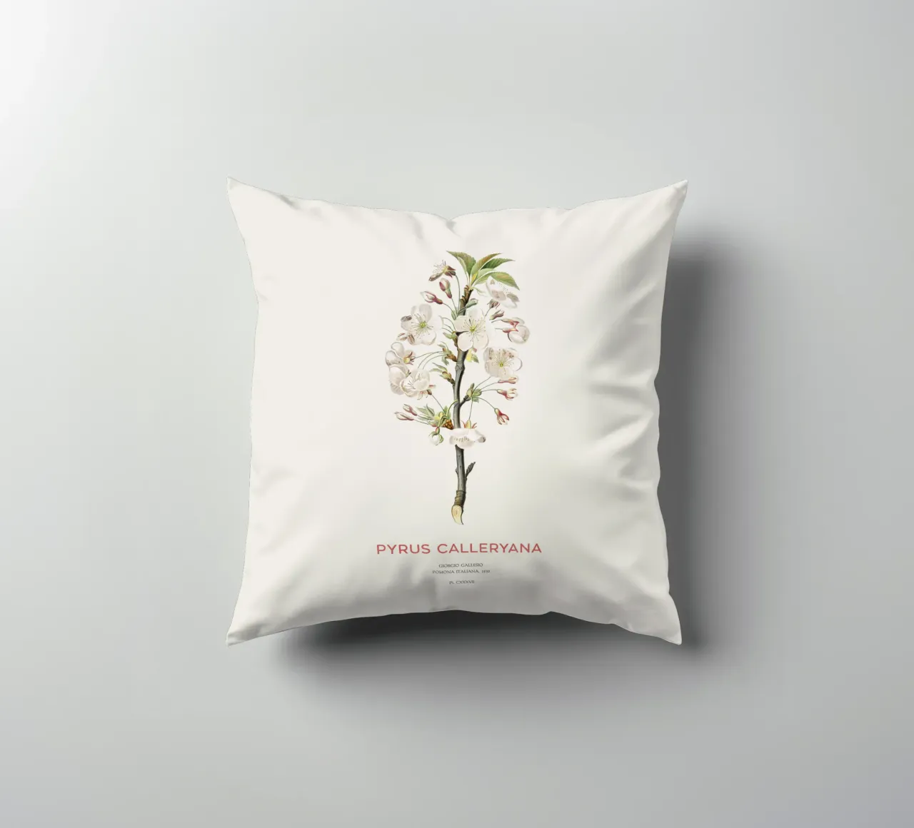 Callery pear or Pyrus calleryana decorative cushion by Vintagrafica