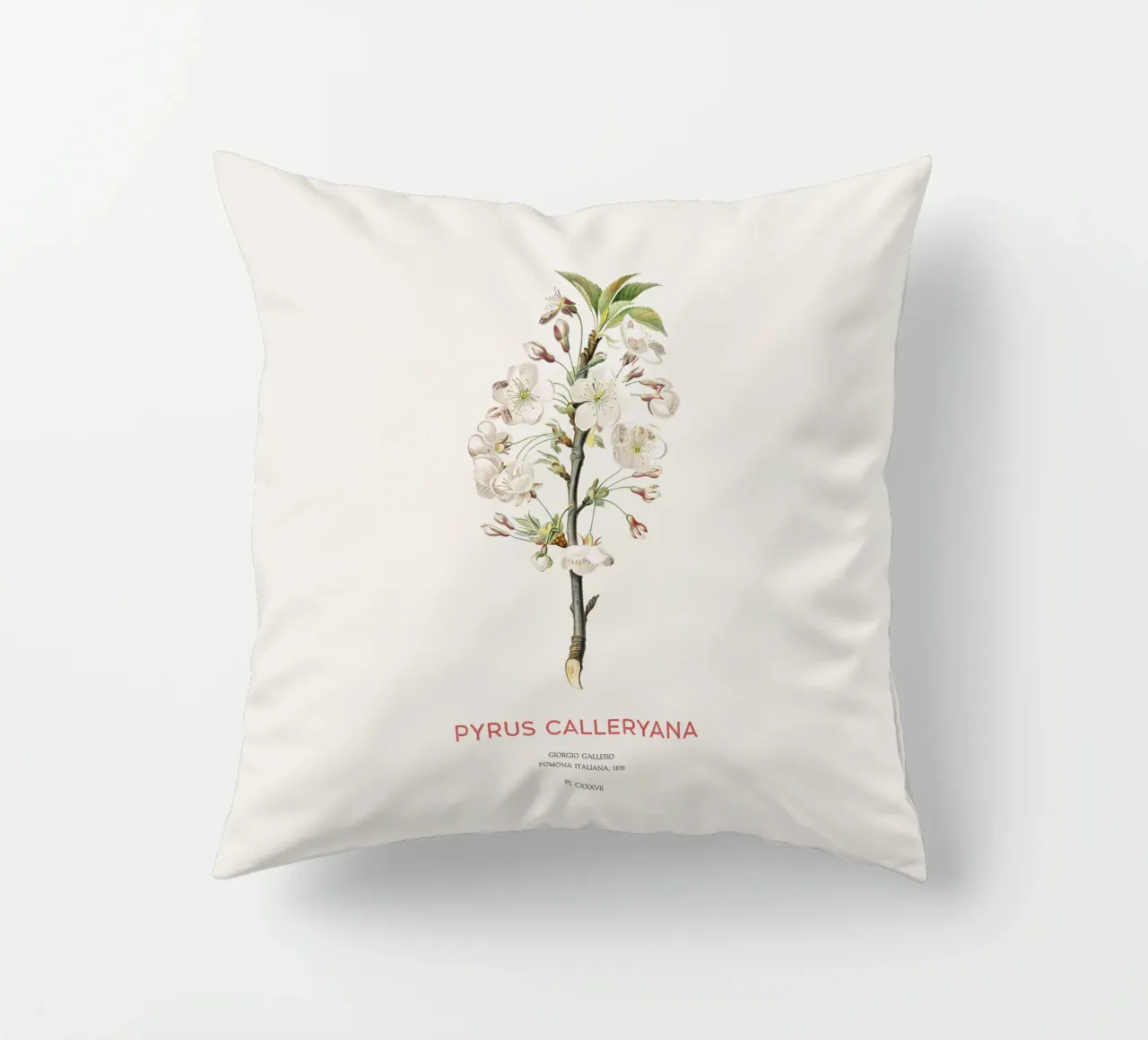 Callery pear or Pyrus calleryana decorative cushion by Vintagrafica