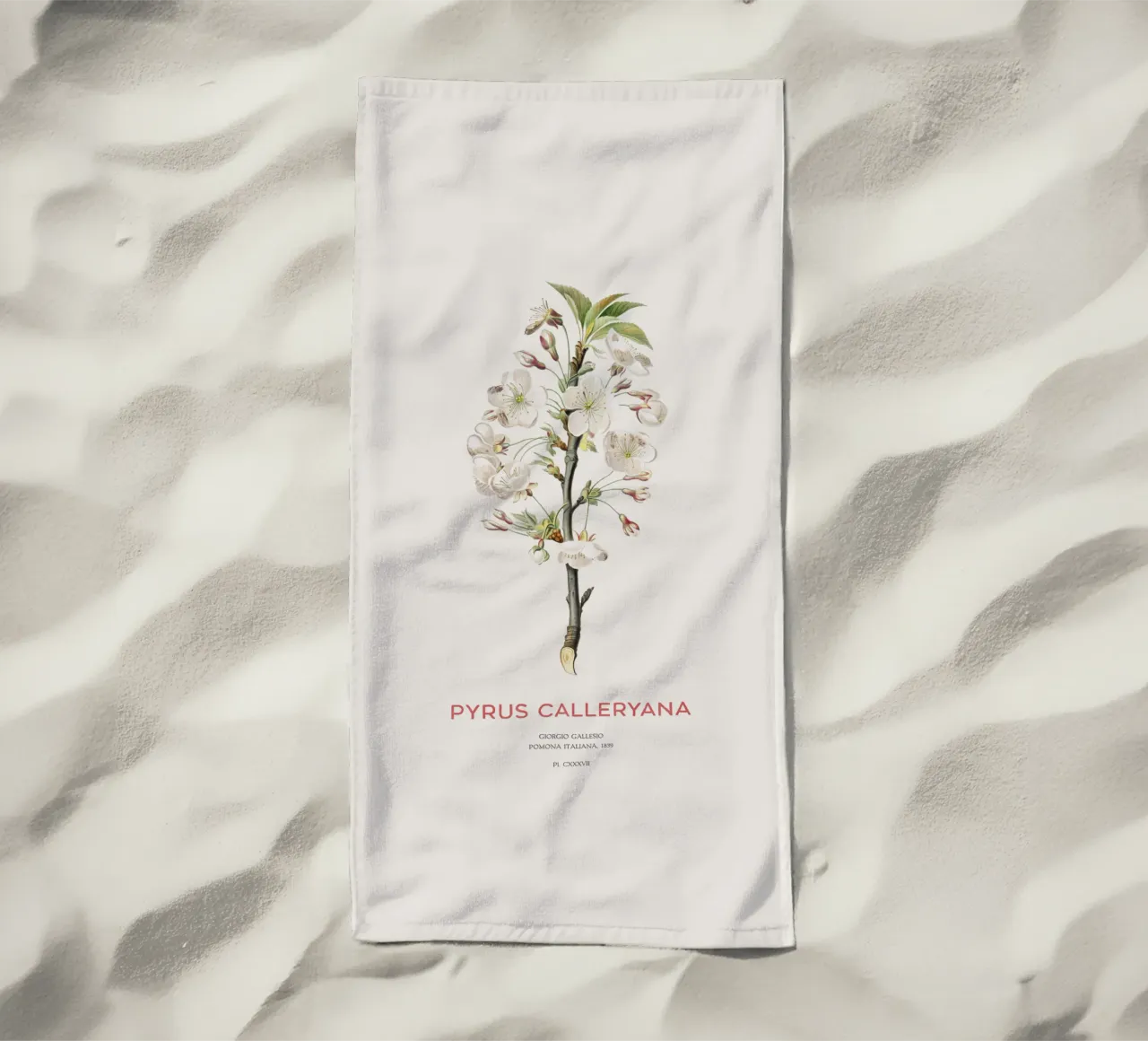 Pero ciliegia o Pyrus calleryana telo mare da Vintagrafica