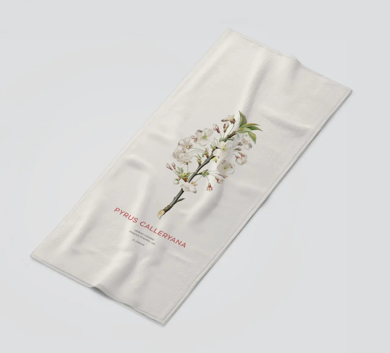 Pero ciliegia o Pyrus calleryana telo mare da Vintagrafica