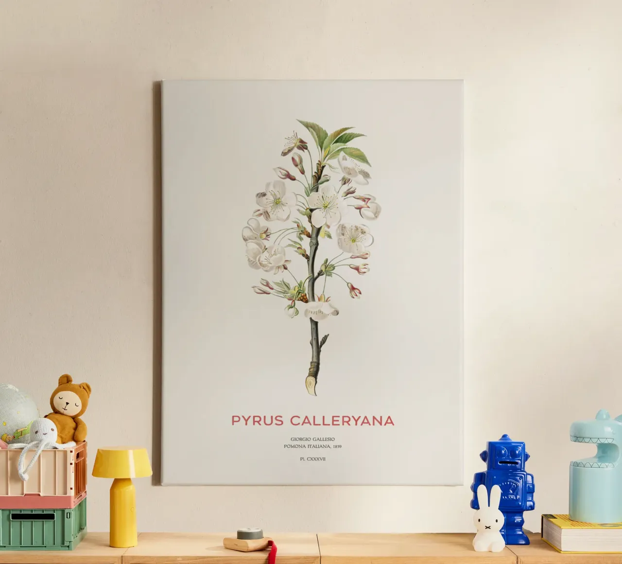Callery pear or Pyrus calleryana canvas by Vintagrafica