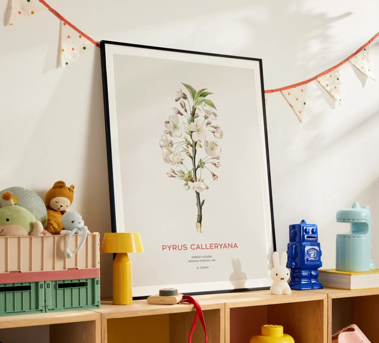 Felsenbirne oder Pyrus calleryana Hahnemühle von Vintagrafica