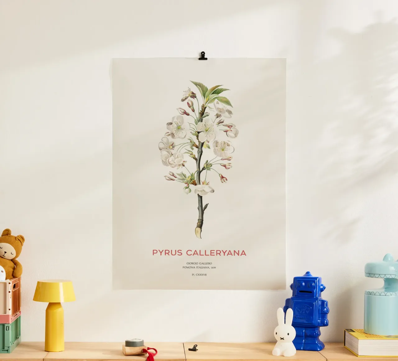 Felsenbirne oder Pyrus calleryana Hahnemühle von Vintagrafica